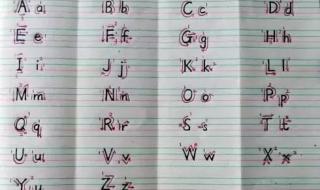 字母表 声母 单韵母 复韵母 前鼻韵母 后鼻韵母 整体认读音节 字母表拼音字母表